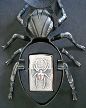 Kreuzspinne